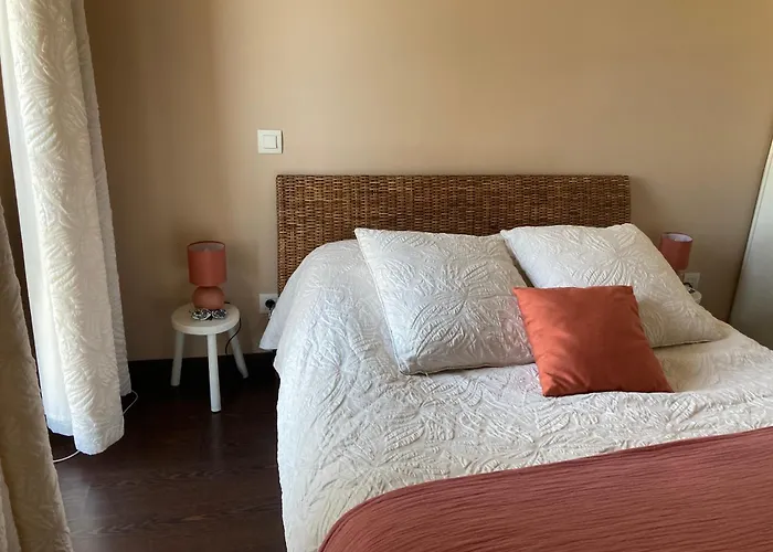 T2 Dans Quartier Residentiel Sur Le Bassin Arcachon Avec Location De Velos Apartment