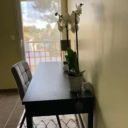 Apartman T2 Dans Quartier Residentiel Sur Le Bassin Arcachon Avec Location De Velos