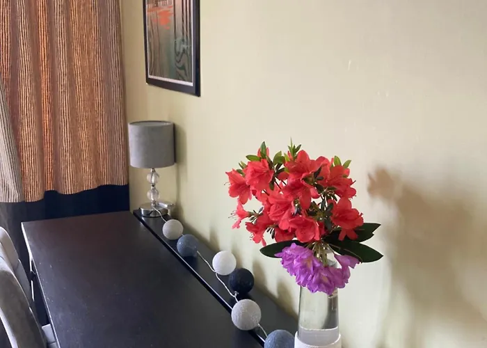 Apartment T2 Dans Quartier Residentiel Sur Le Bassin Arcachon Avec Location De Velos Gujan-Mestras